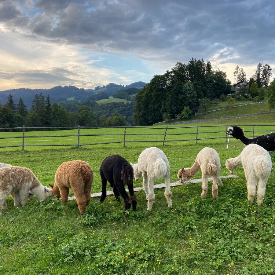 Unsere_Tiere