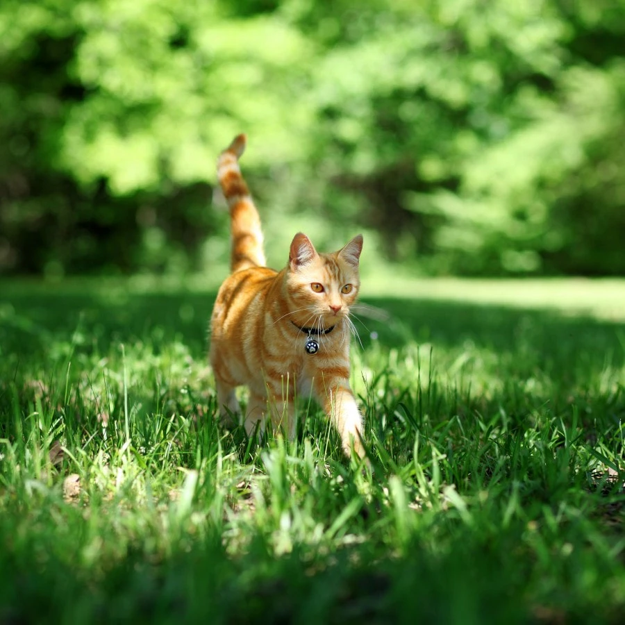 AdobeStock_208453363